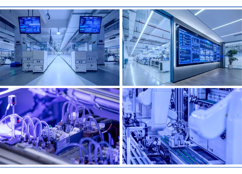  CHINT-Q1-Report-of-2025-Annual-Report-of-2024